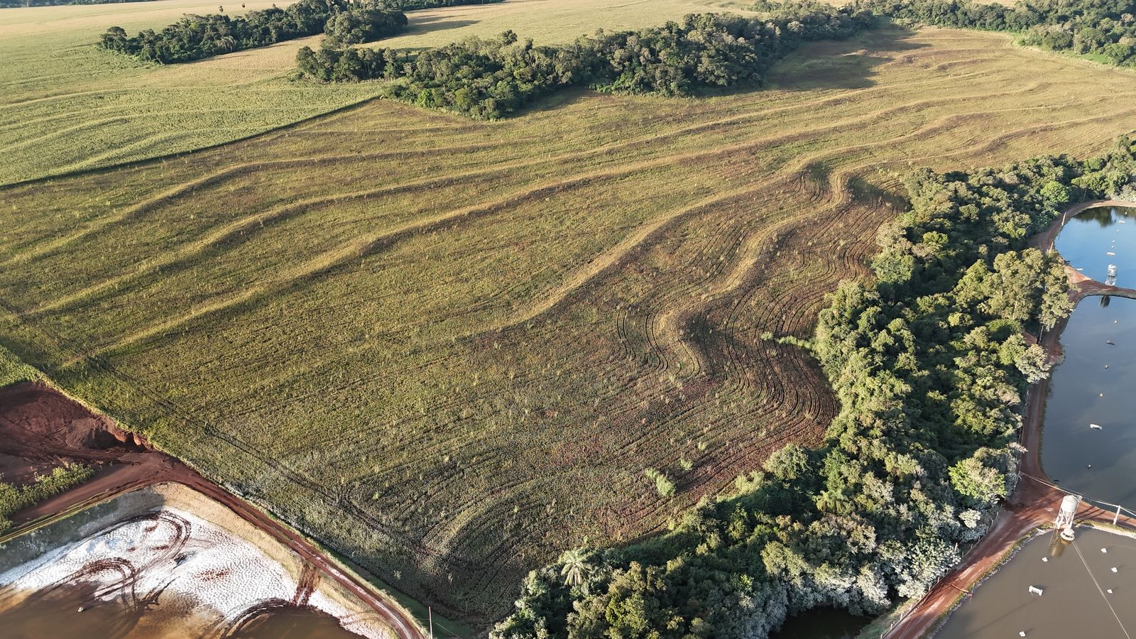 Lavoura em curvas de nível